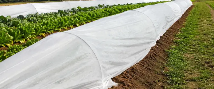 Cobertor de tarflex para Agricultura