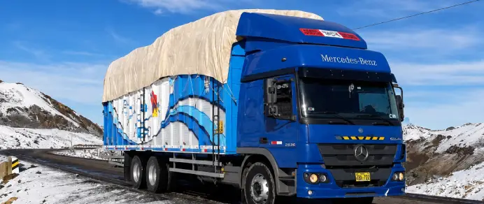 Uso de loneta para fabricar toldo de camion